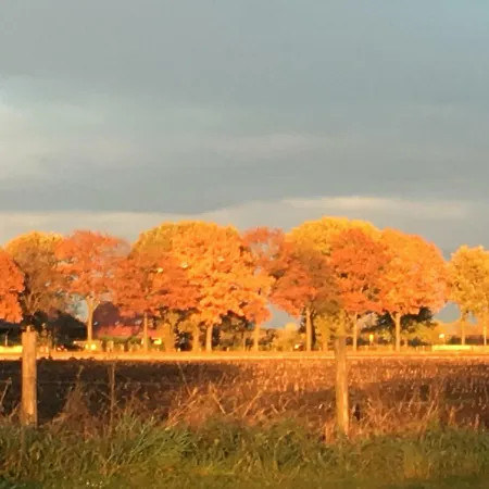 Licht En Ruim Nabij Nijmegen. * Groesbeek
